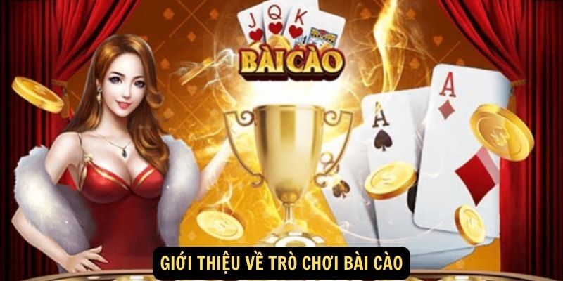 bai cao la gi